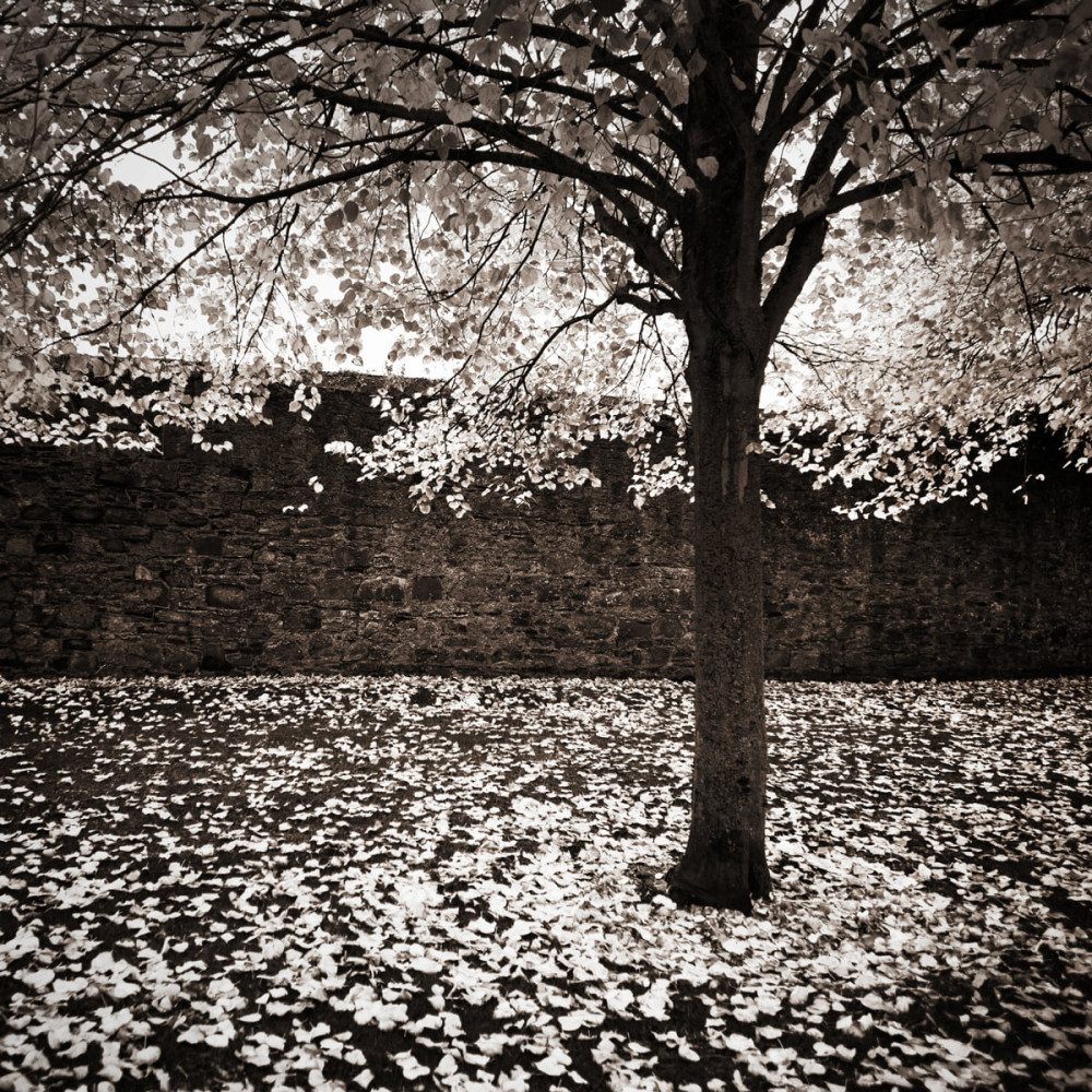 Mirror - Dublin / Irlande