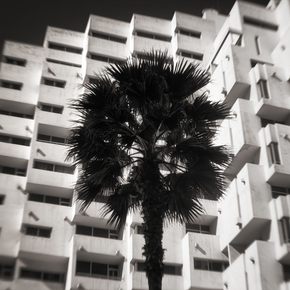 In my element - Casablance / Maroc