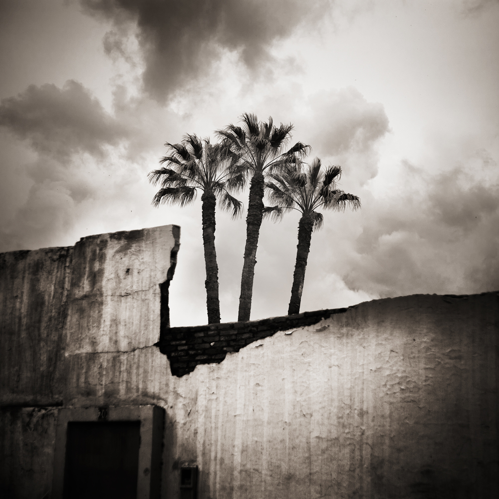 Frères - Casablanca / Maroc