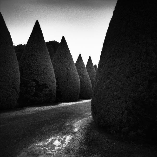 Alice - France