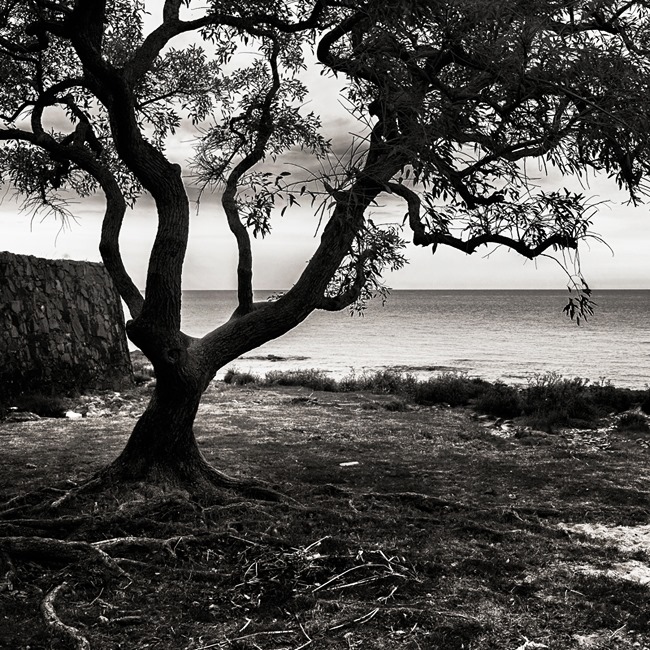 Colonia del Sacramento - Uruguay